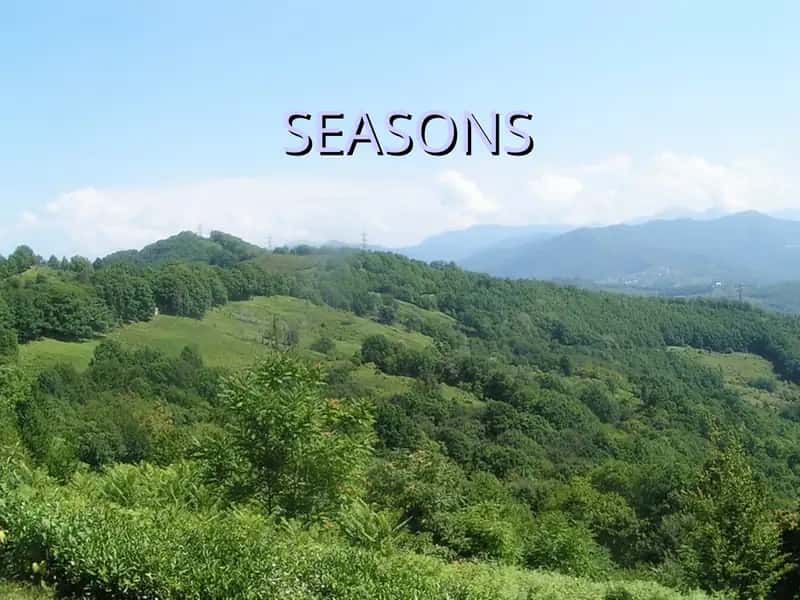 Seasons 1