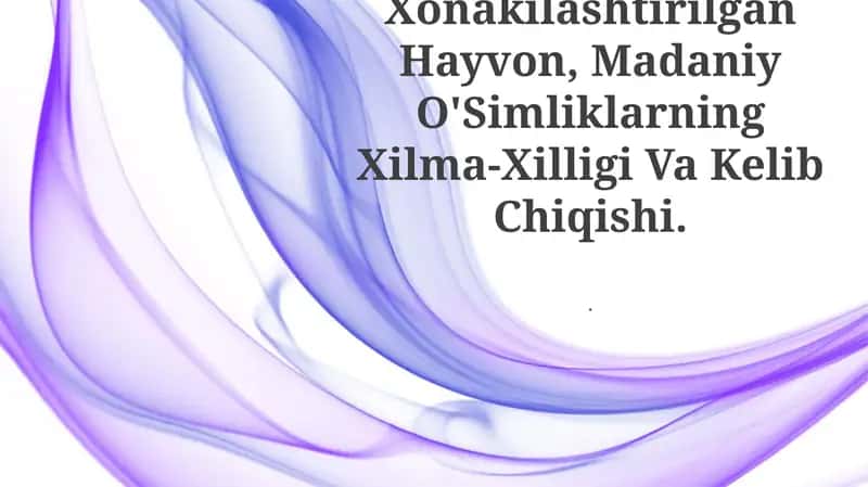 Xonakilashtirilgan Hayvon, Madaniy O'Simliklarning Xilma-Xilligi Va Kelib Chiqishi 1