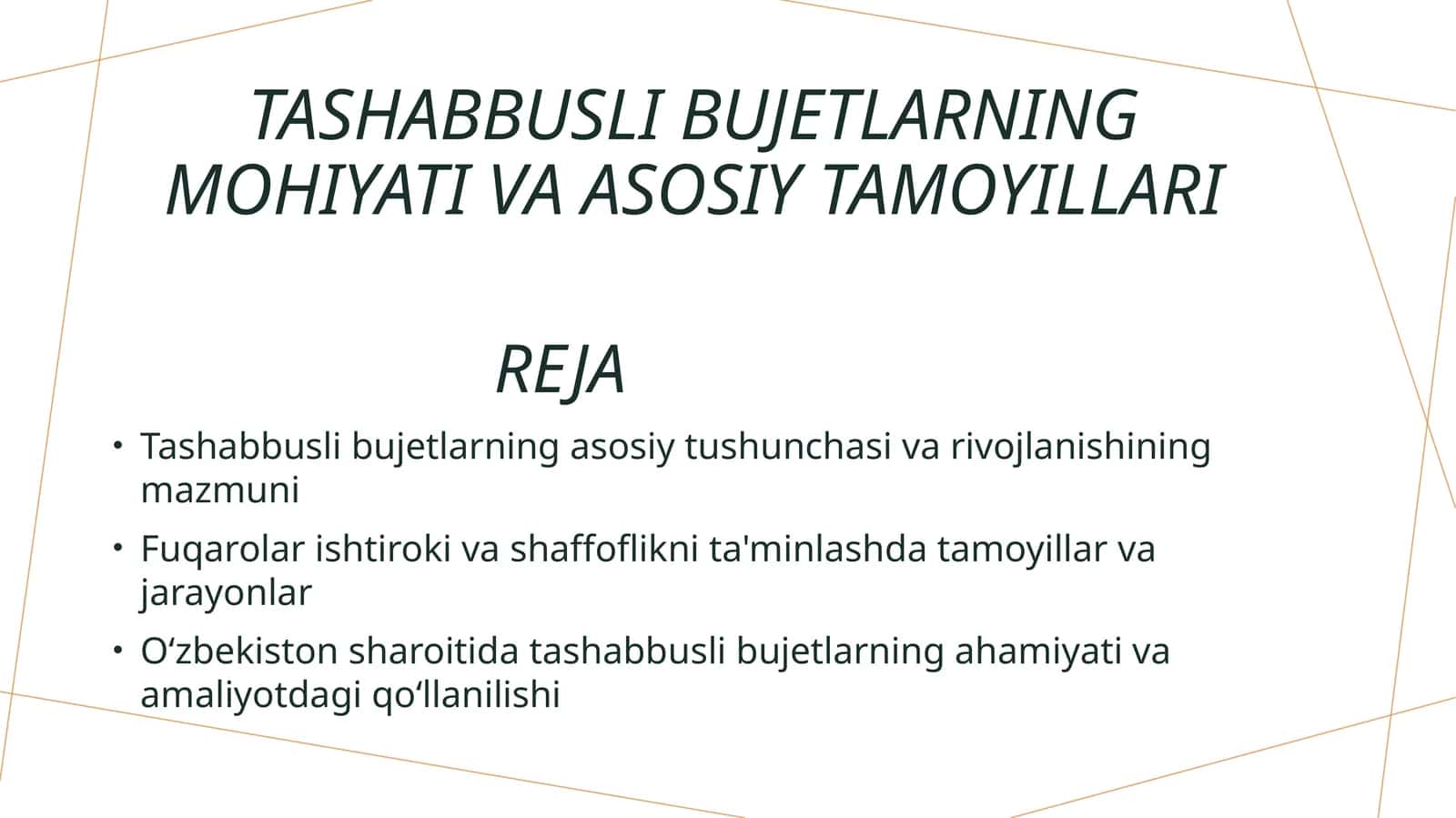 Tashabbusli bujetlarning asosiy tushunchasi va rivojlanishining mazmuni 1