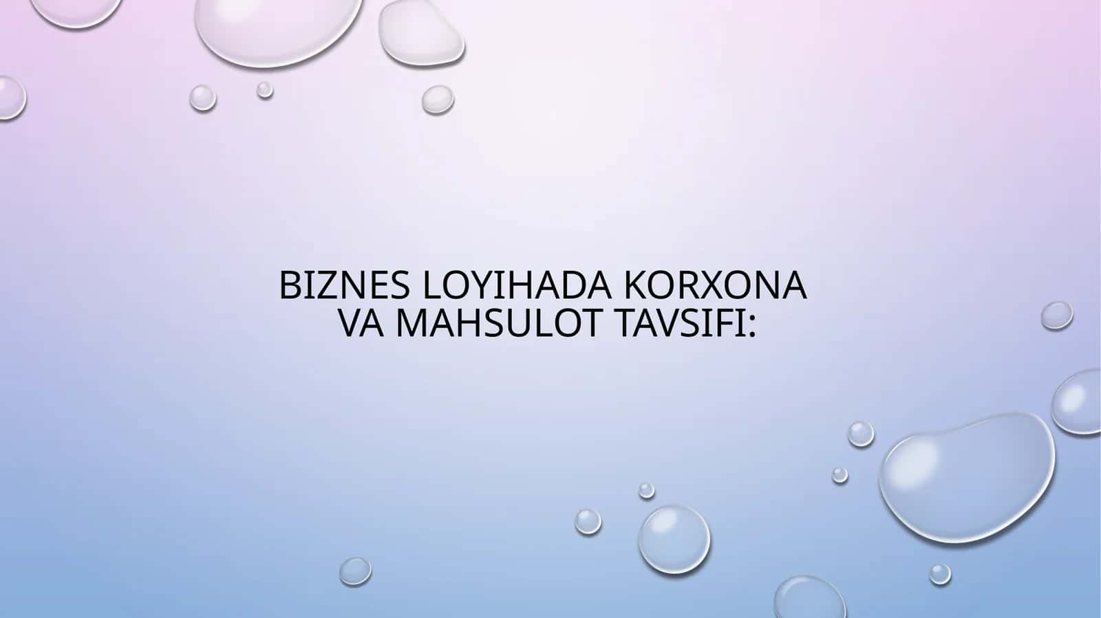 Biznesloyi hadakorxona va mahsulotlarning tavsifi 1