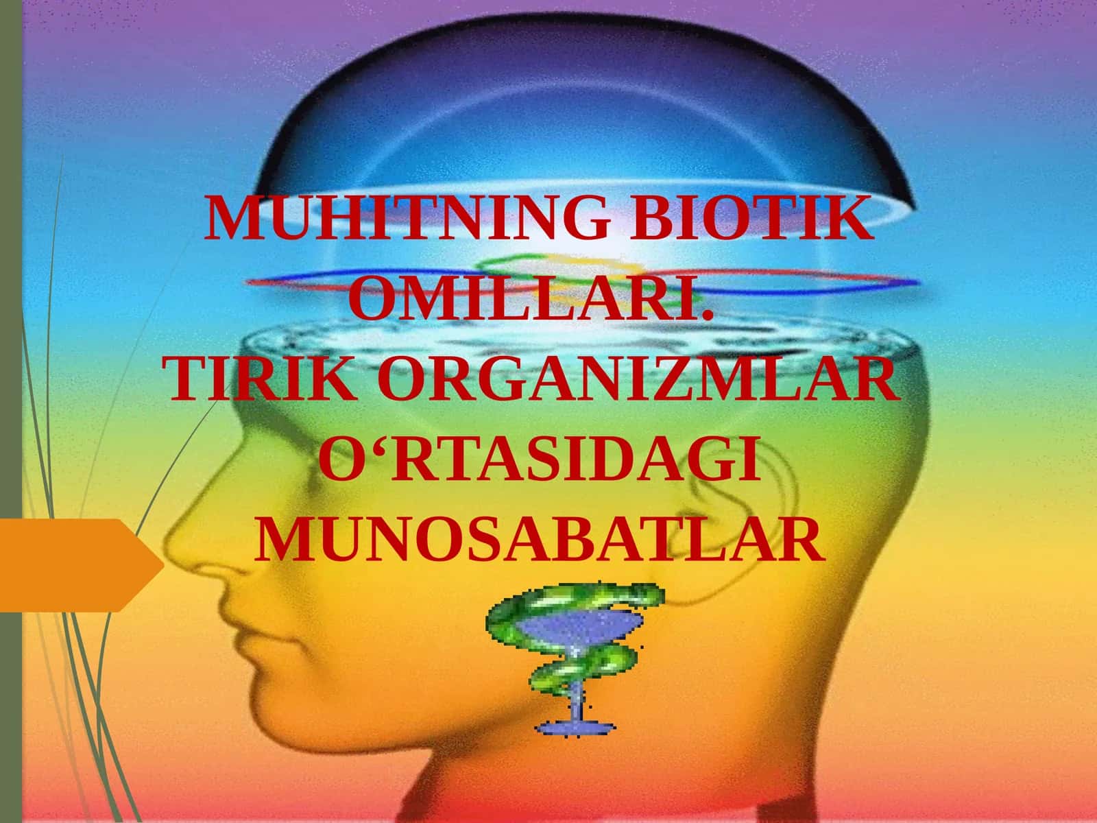 MUHITNING BIOTIK OMILLARI.TIRIK ORGANIZMLARO‘RTASIDAGI MUNOSABATLAR 1