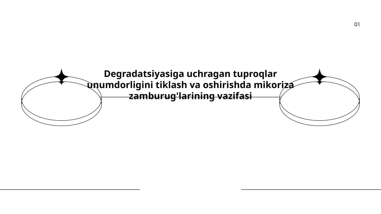Mikoriza zamburug'larining vazifasi 1