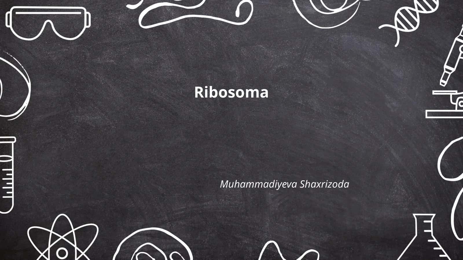 Ribosoma 1
