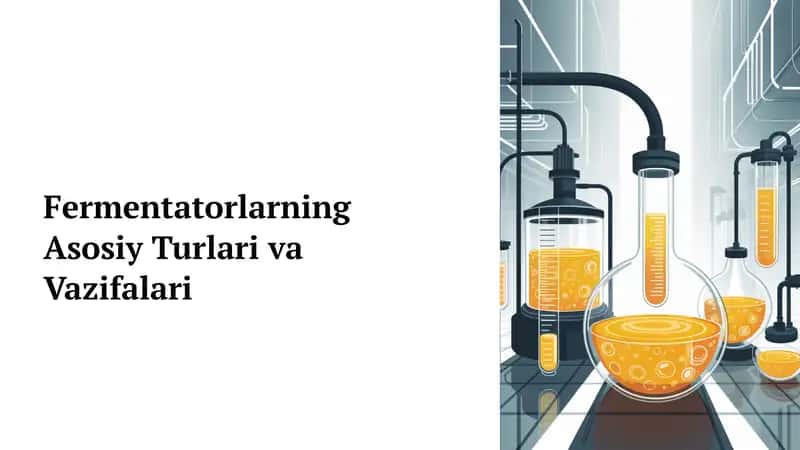 Fermentatorlarning Asosiy Turlari va Vazifalari 1