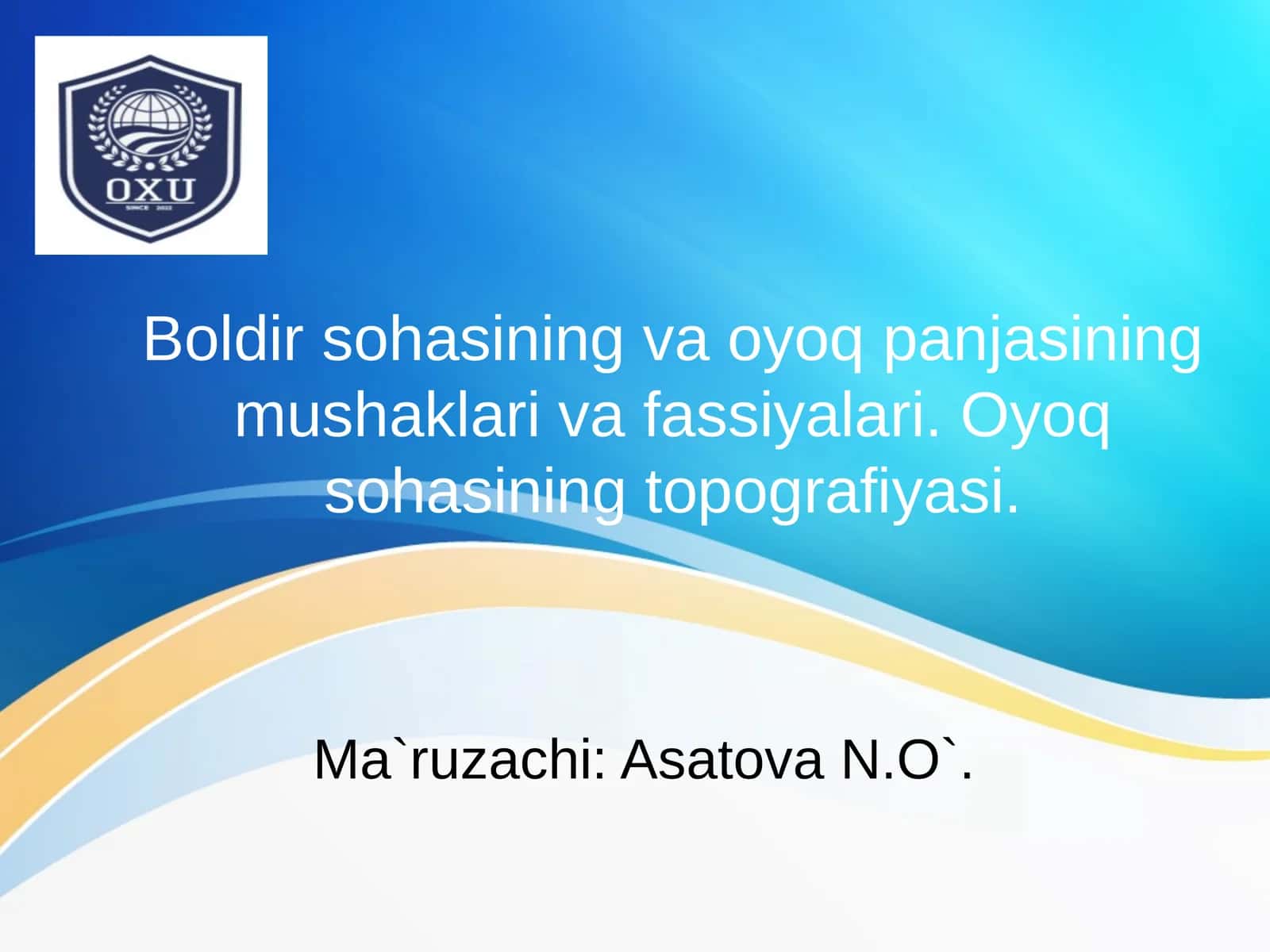 Boldir sohasining va oyoq panjasining mushaklari va fassiyalari. Oyoq sohasining topografiyasi 1