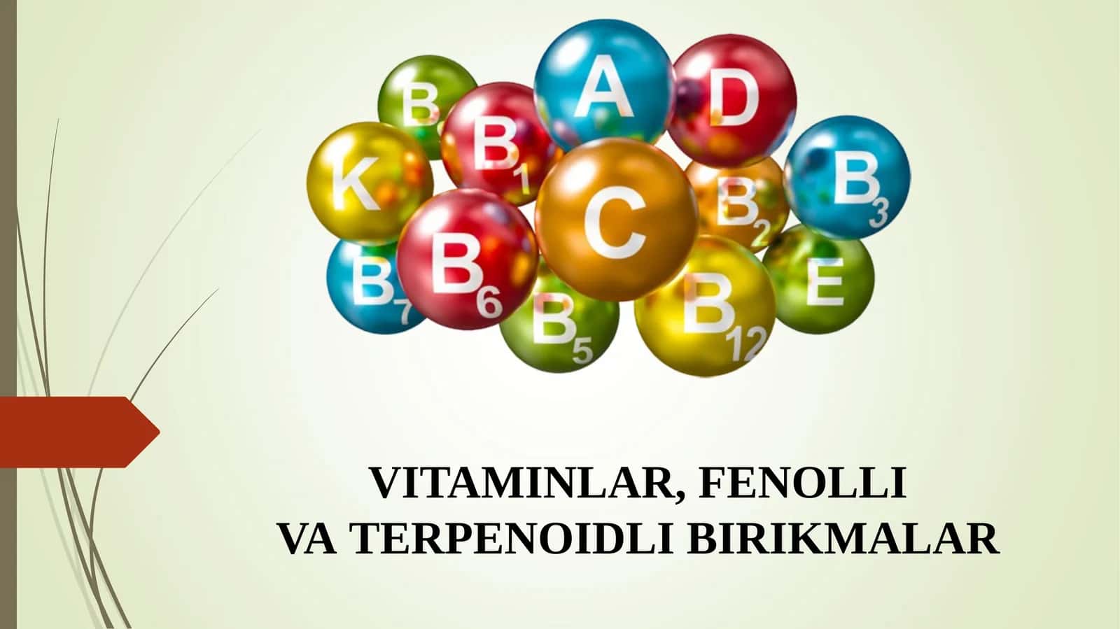 VITAMINLAR, FENOLLI VA TERPENOIDLI BIRIKMALAR 1