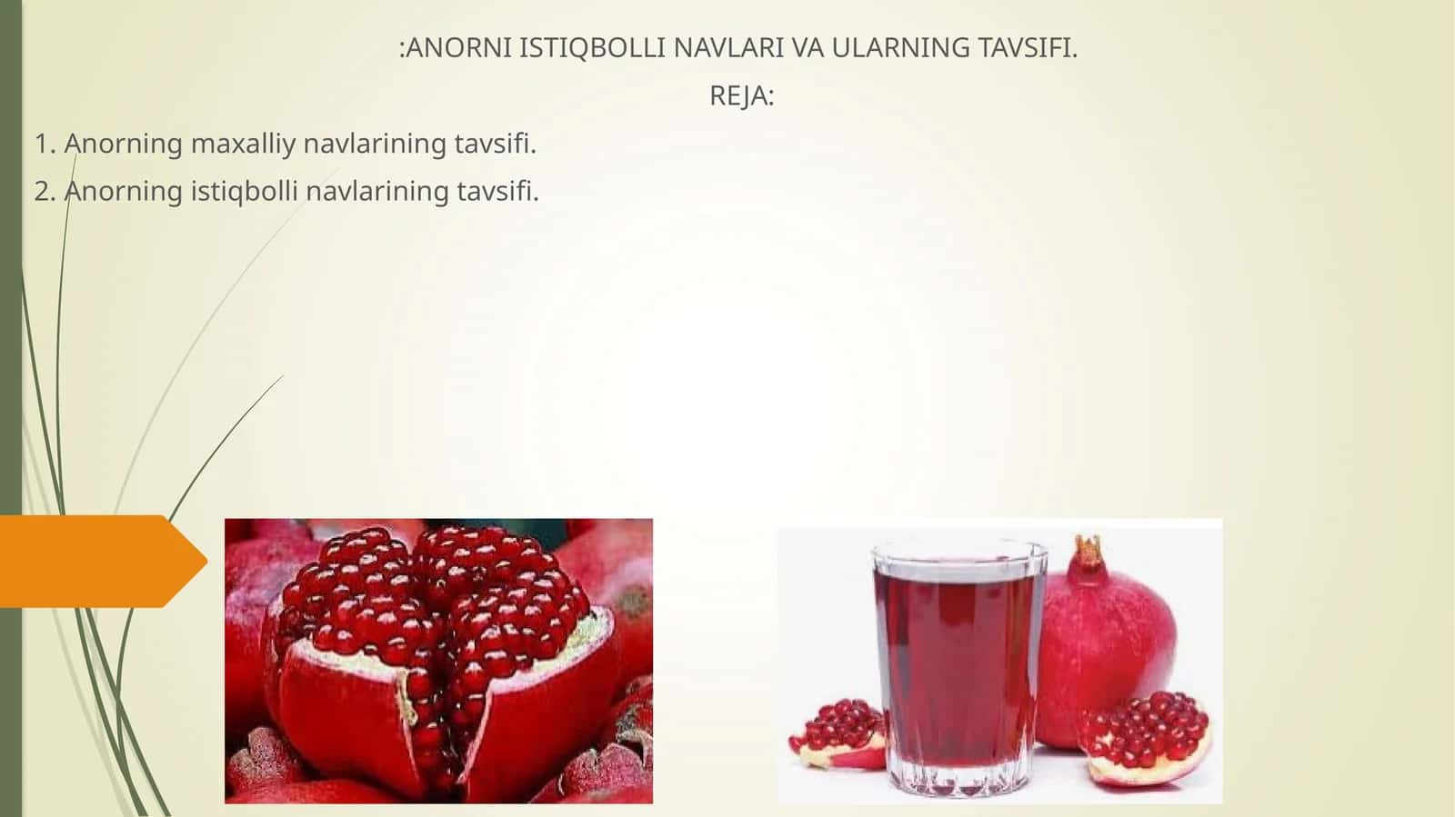 Anorning maxalliy navlarining tavsifi 1