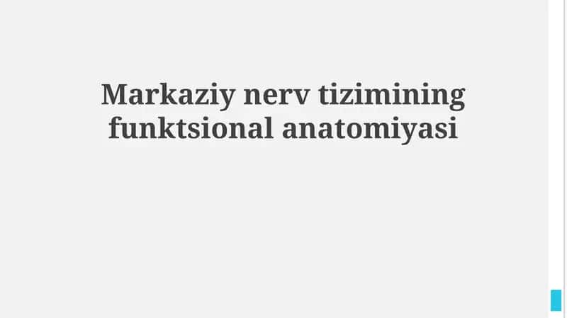 Markaziy nerv tizimining funktsional anatomiyasi 1