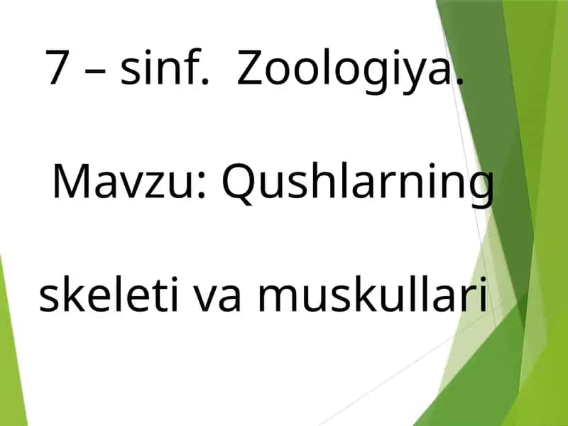 Qushlarning skeleti va muskullari 1