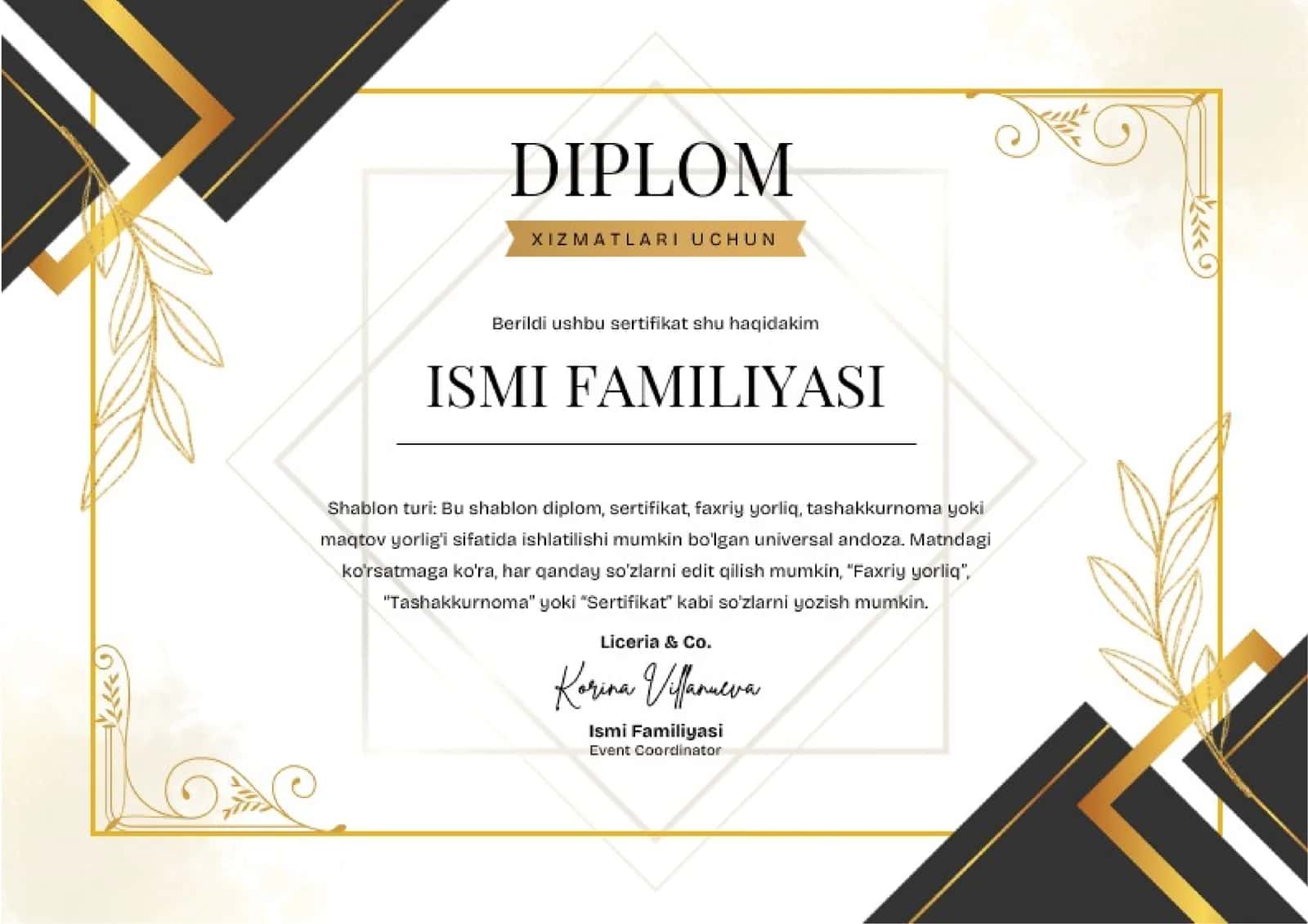 DIPLOM 1