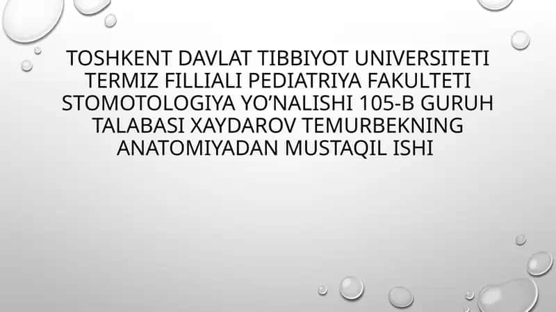 Hazm bezlarining umumiy tavsifi 1