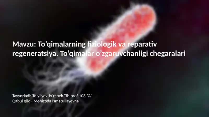 To‘qimalarning fiziologik vareparativ regeneratsiyasi 1
