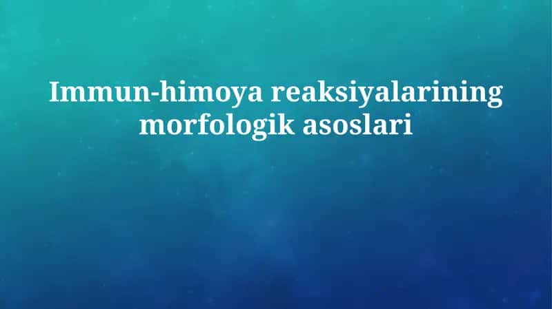 Immun-himoya reaksiyalarining morfologik asoslari 1
