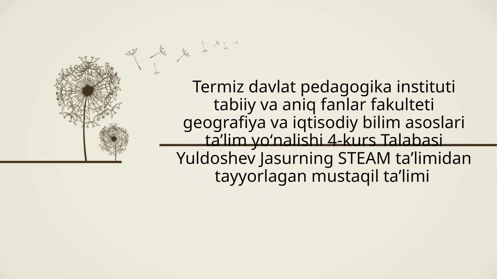 STEAM texnologiyasi 1