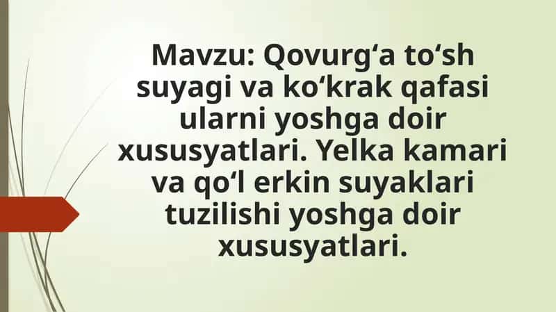 Qovurgʻa toʻsh suyagi va koʻkrak qafasi ularni yoshga doir xususyatlari. Yelka kamari va qoʻl erkin suyaklari tuzilishi yoshga doir xususyatlari.Yelkakamarivaqoʻlerkinsuyaklarituzilishiyoshgadoirxususyatlari 1