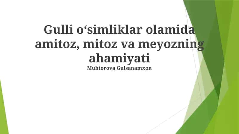 Gulli oʻsimliklar olamida amitoz, mitoz va meyozning ahamiyati 1