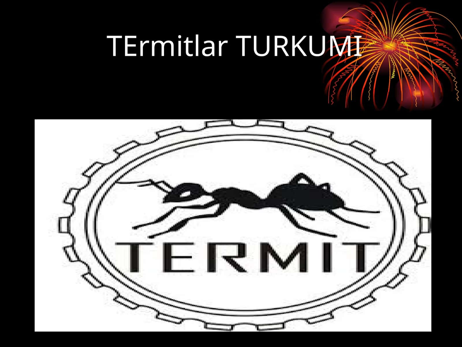 Termitlar TURKUMI 1