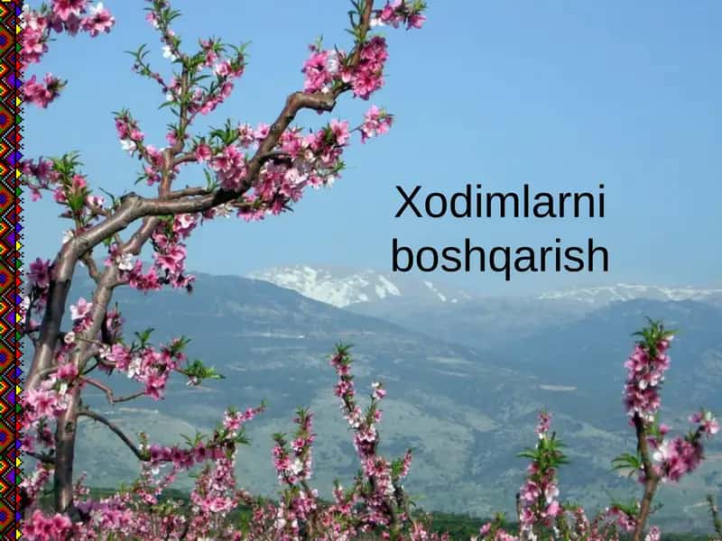 Xodimlarni boshqarish 1