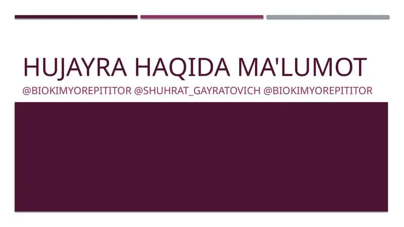 HUJAYRA HAQIDA MA'LUMOT 1