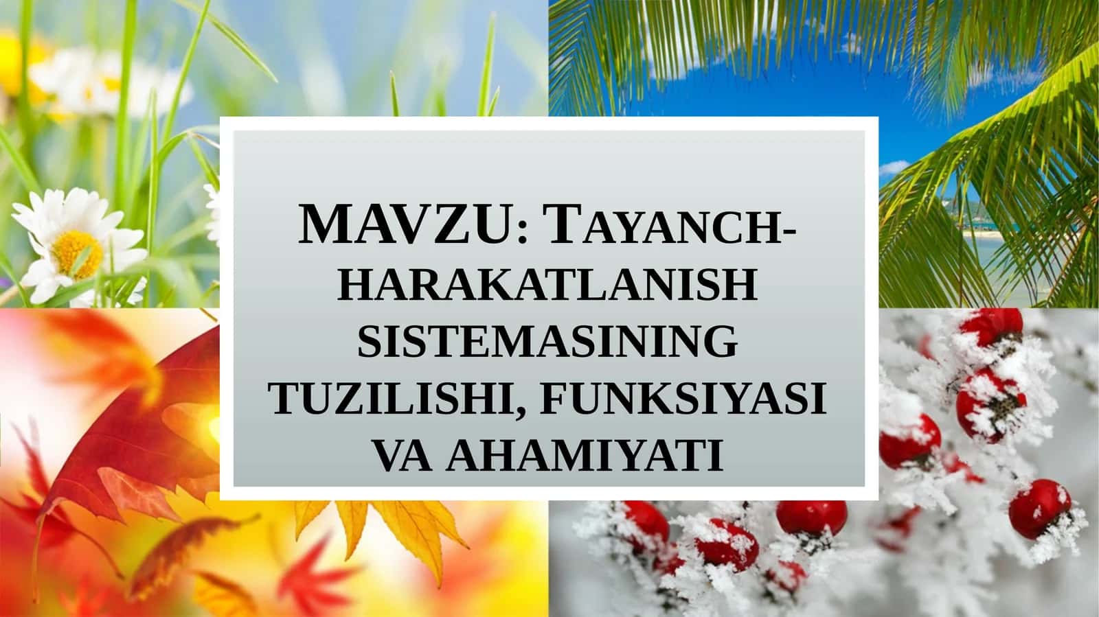 Tayanch-harakatlanish sistemasining tuzilishi, funksiyasi va ahmiyati 1