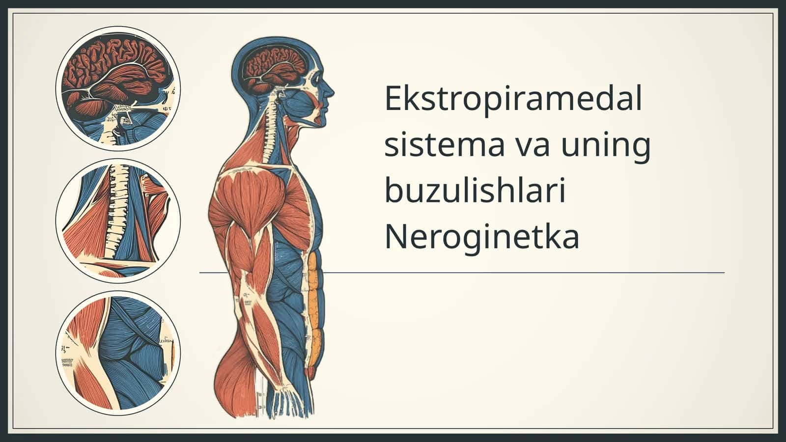 Ekstropiramedal sistema va uning buzulishlari Neroginetka 1