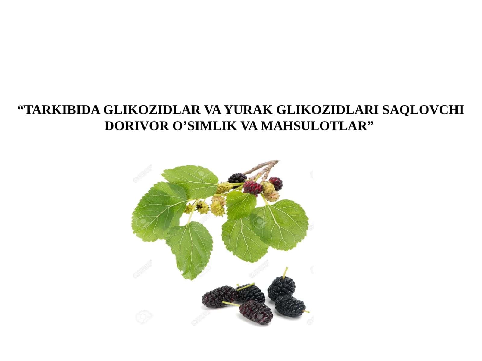 TARKIBIDA GLIKOZIDLAR VA YURAK GLIKOZIDLARI SAQLOVCHI DORIVOR O’SIMLIK VA MAHSULOTLAR 1