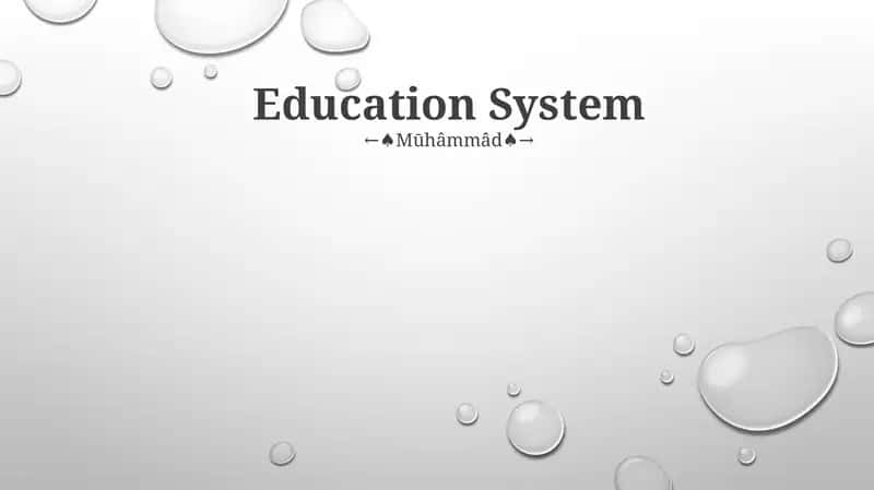 Education System 1