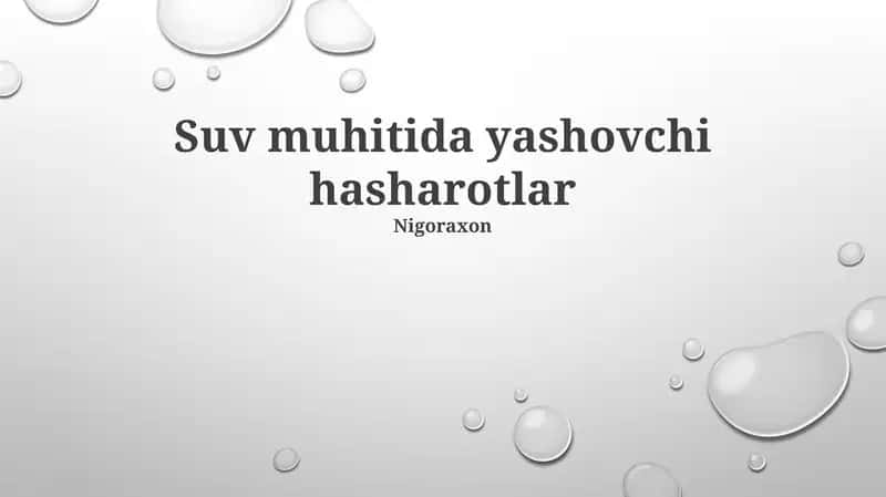 Botqoq Oziq-Ovqat Zanjirlari va Hasharotlarning Roli 1