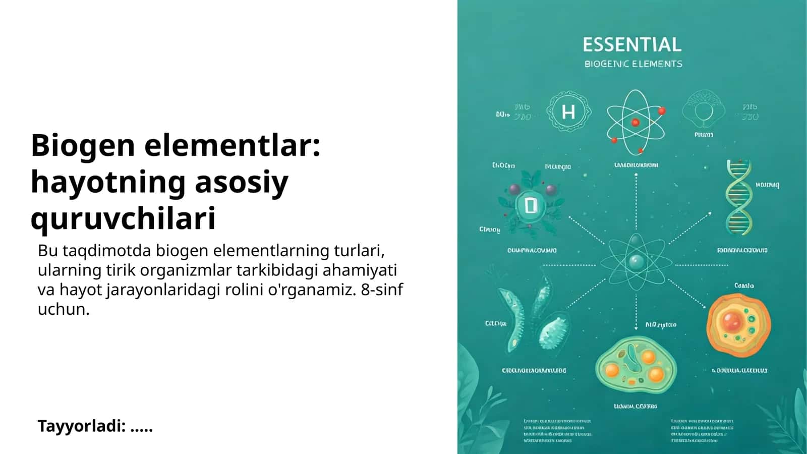 Biogen elementlar: hayotning asosiy quruvchilari 1