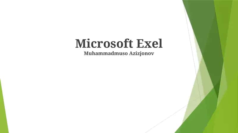 Microsoft Exel 1