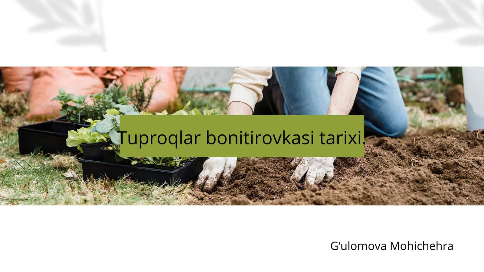 Tuproqlar bonitirovkasi tarixi 1