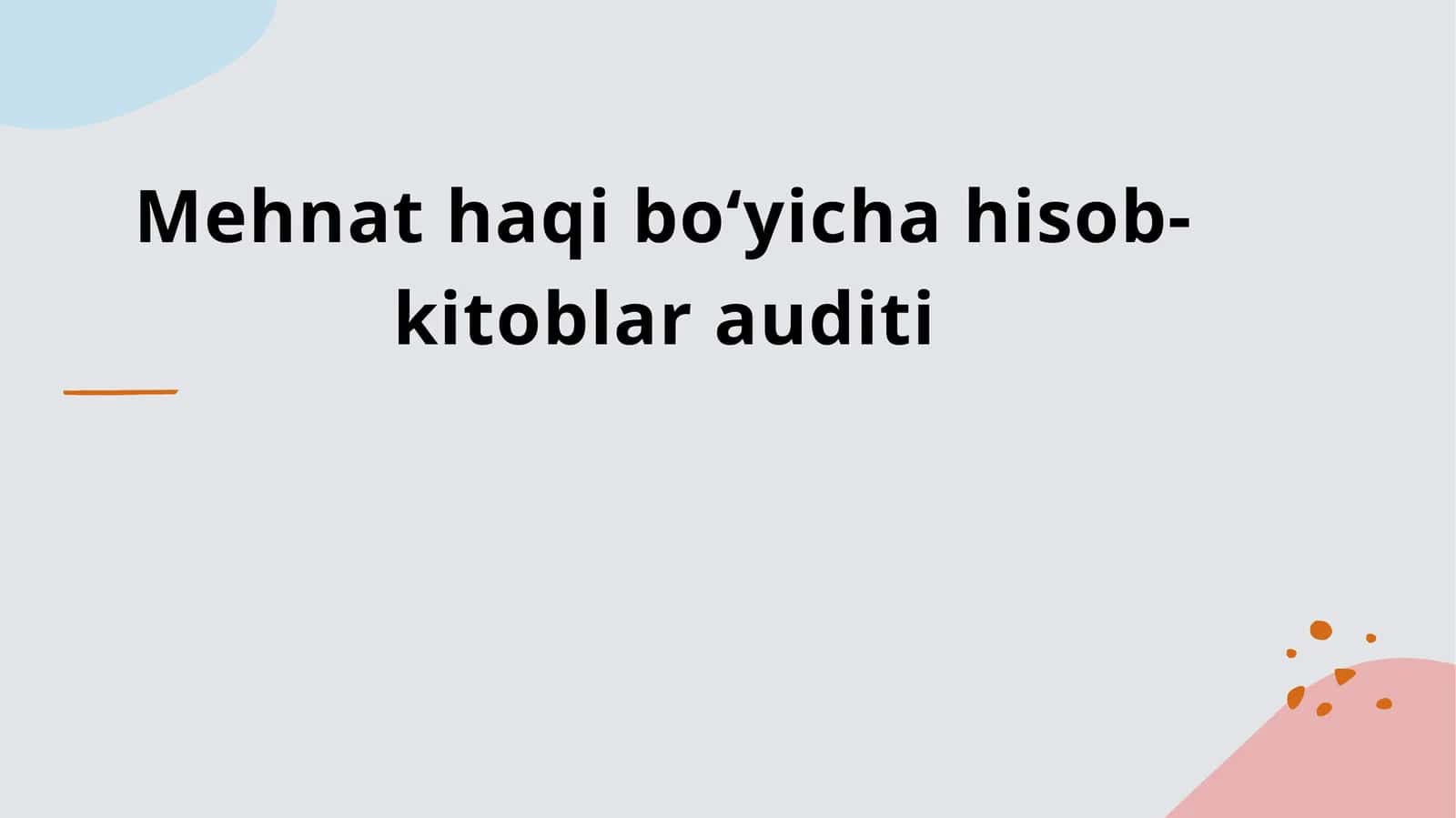 Mehnat haqi bo‘yicha hisob-kitoblar auditi 1