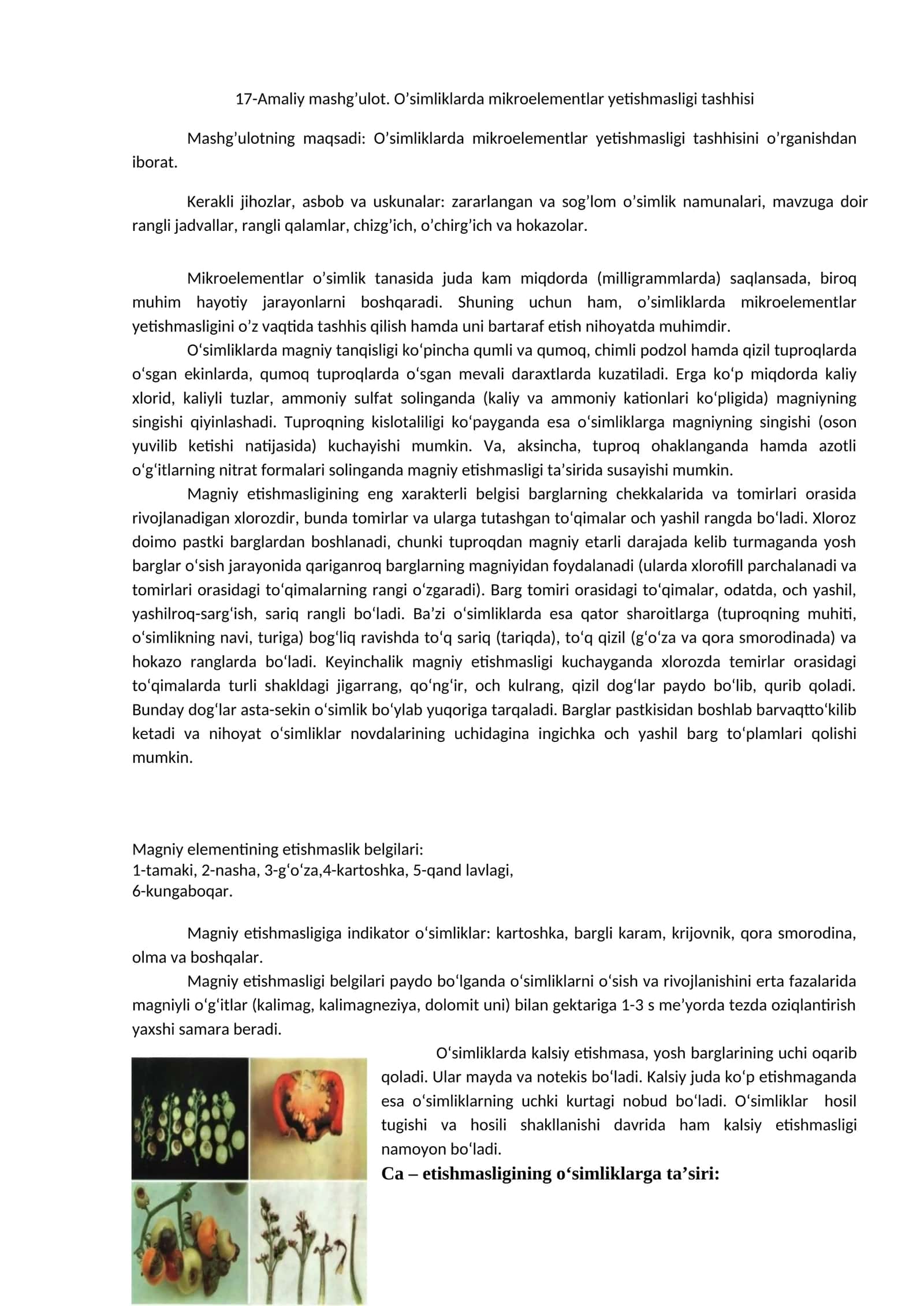 O’simliklarda mikroelementlar yetishmasligi tashhisi 1