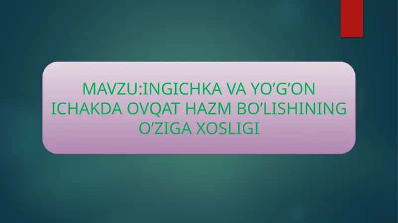Ingichka va yo'g'on ichakda ovqat hazm bo'lishi 1