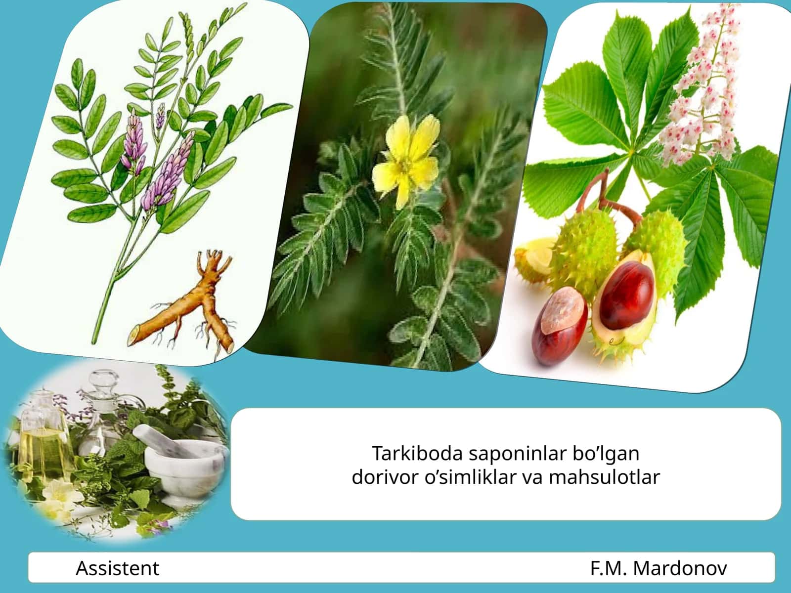 Saponinlar haqida 1