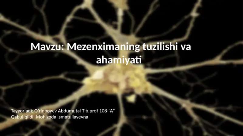 Mezenximaningtuzilishi va ahamiyati 1