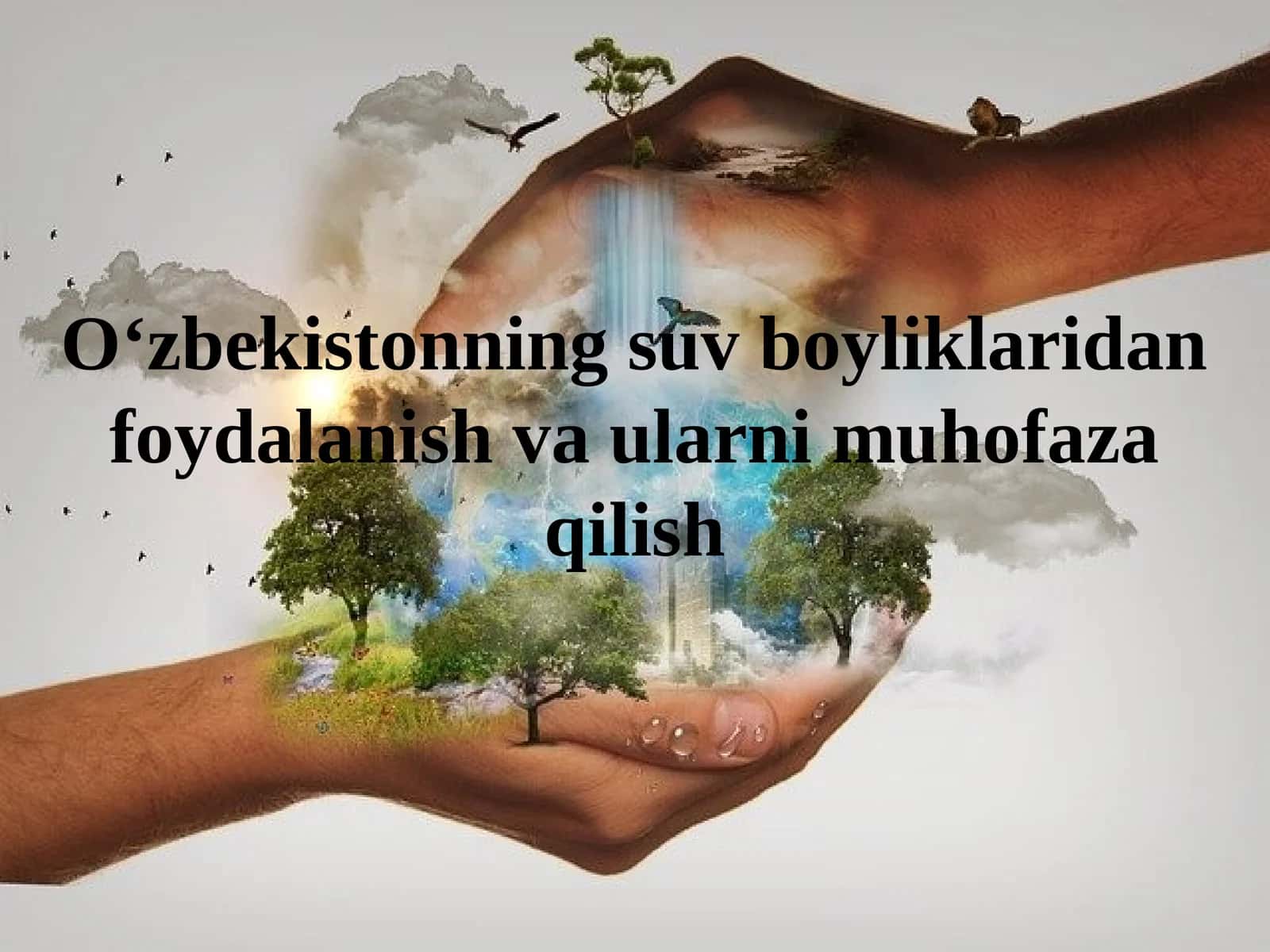 O‘zbekistonning suv boyliklaridan foydalanish va ularni muhofaza qilish 1