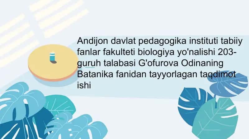 Gingobiloba 1