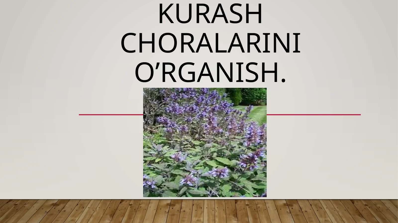 Mavrak o’simligi zararkunandalari va kasalliklari aniqlash haqda kurash choralarini o’rganish 1