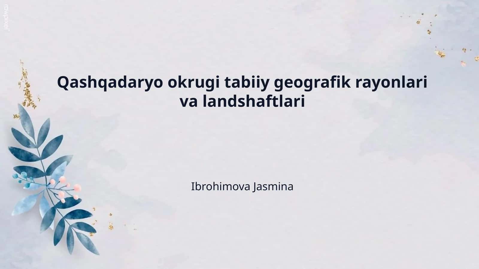 Qashqadaryo okrugi tabiiy geografik rayonlari va landshaftlari 1
