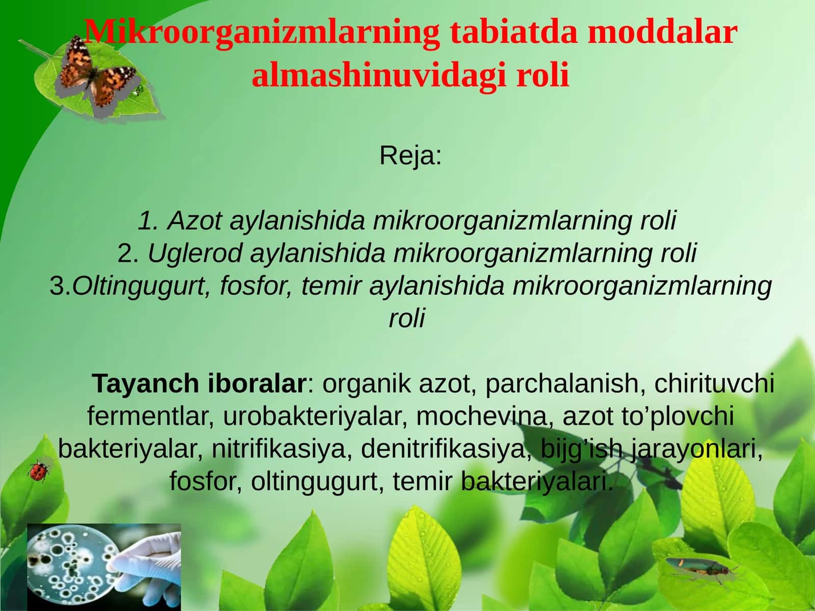 Mikroorganizmlarning tabiatda moddalar almashinuvidagi roli 1