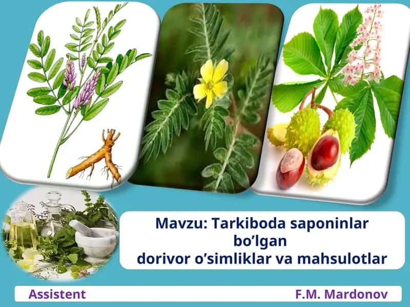 Tarkiboda saponinlar bo’lgandorivor o’simliklar va mahsulotlar 1