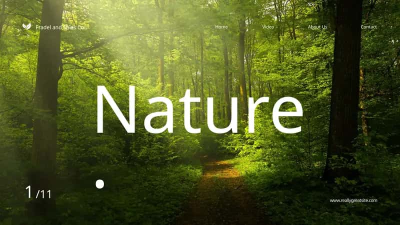 The essence of life on Earth 1