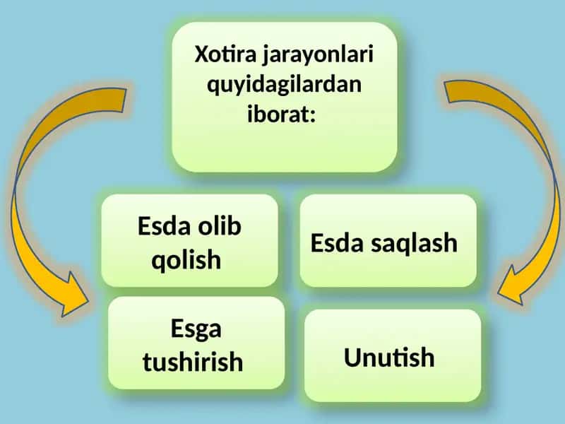 Xotira 1