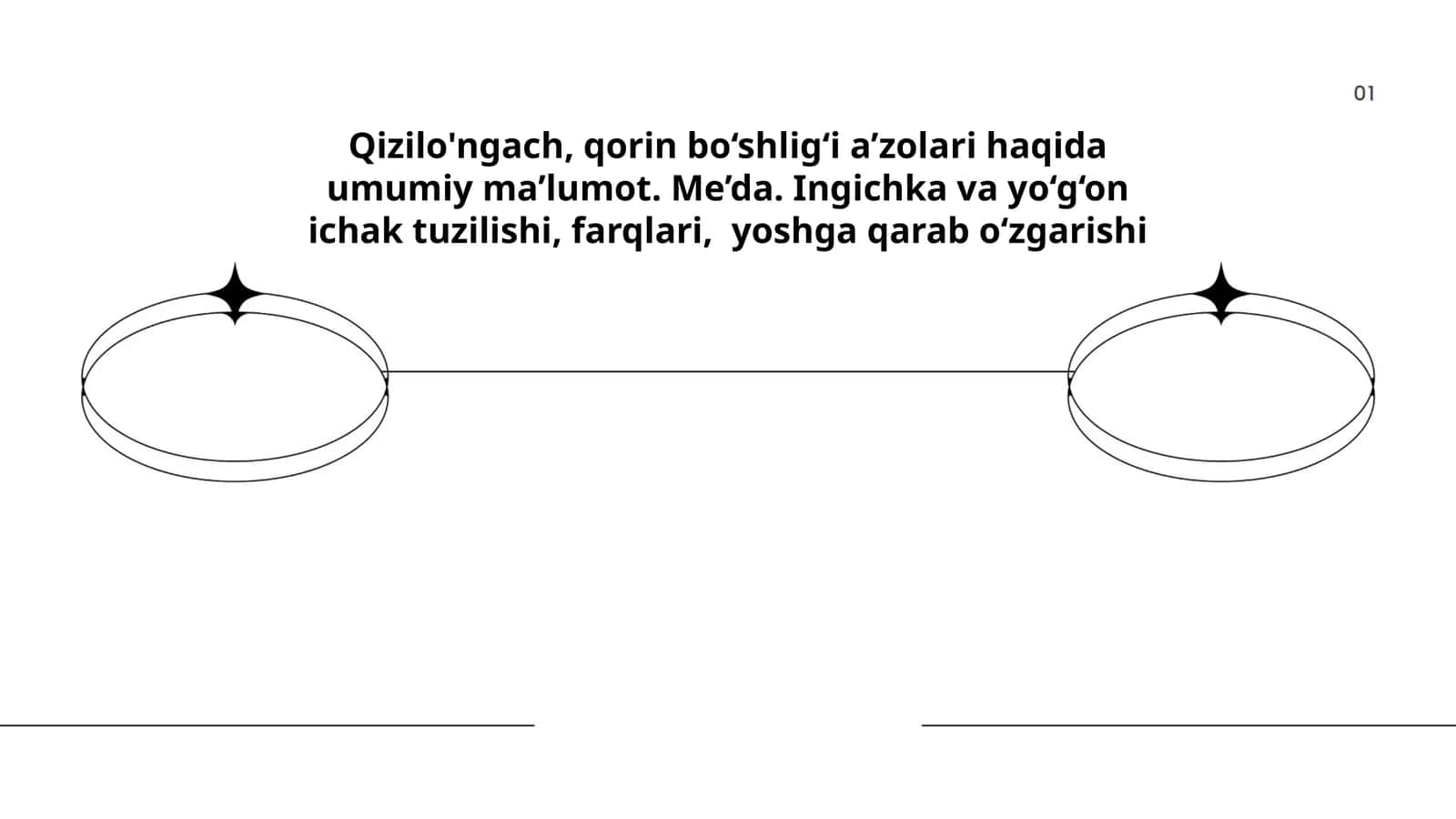 Qizilo'ngach, qorin bo‘shlig‘i a’zolari haqida umumiy ma’lumot. Me’da. Ingichka va yo‘g‘on ichak: tuzilishi, farqlari, yoshga qarab o‘zgarishi 1