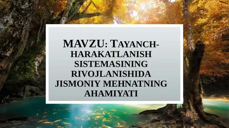 Tayanch-harakatlanish sistemasining rivojlanishi va jismoniy mehnatning ahamiyati 1