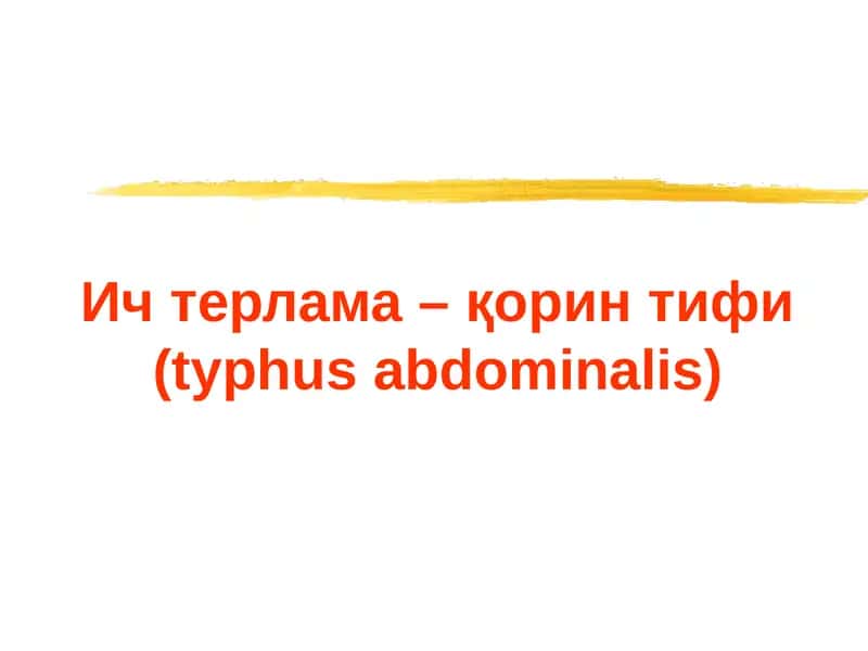 Корин тифи (typhus abdominalis) 1