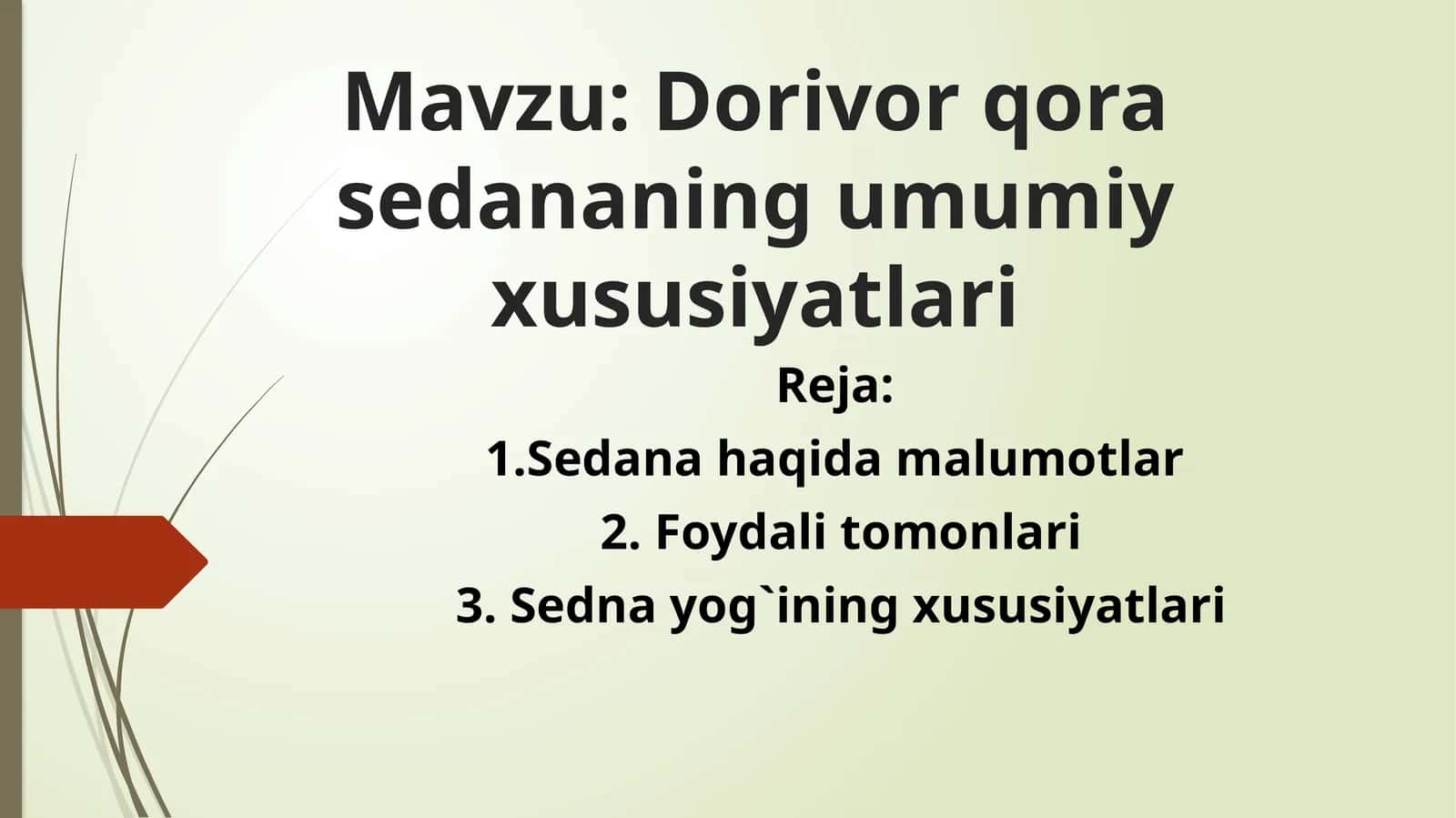 Dorivor qorasedananing umumiy xususiyatlari 1
