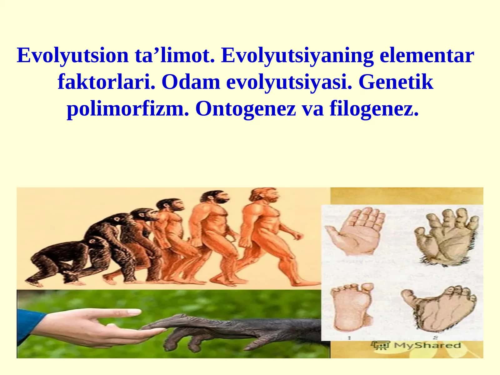 Evolyutsion ta’limot. Evolyutsiyaning elementar faktorlari. Odam evolyutsiyasi. Genetik polimorfizm. Ontogenez va filogenez 1