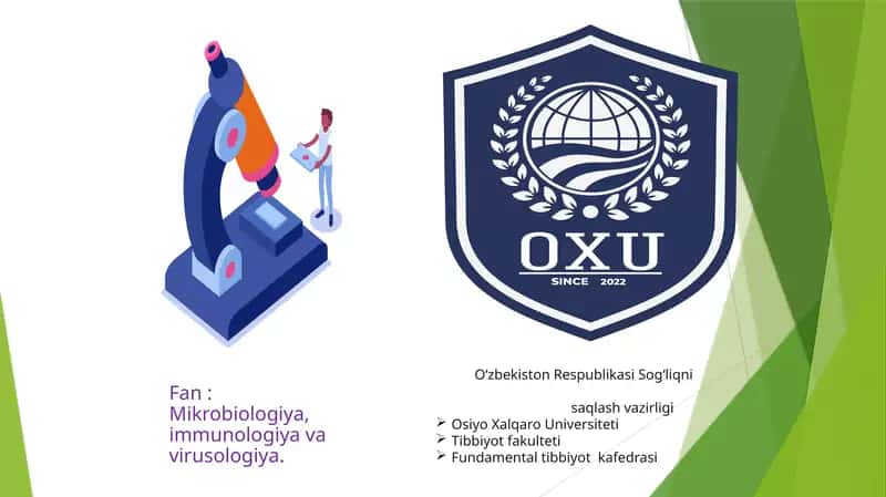 Bakteriya hujayrasining tuzilishi 1